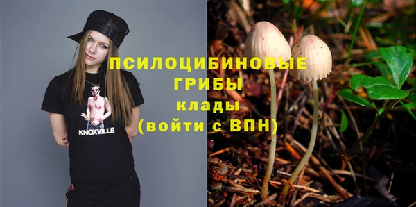 МДПВ Лиски